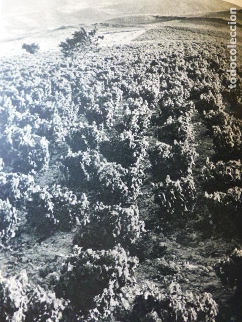 Colecionismo: ESLAVA NAVARRA VI&Ntilde;EDOS ANTIGUA LAMINA HUECOGRABADO