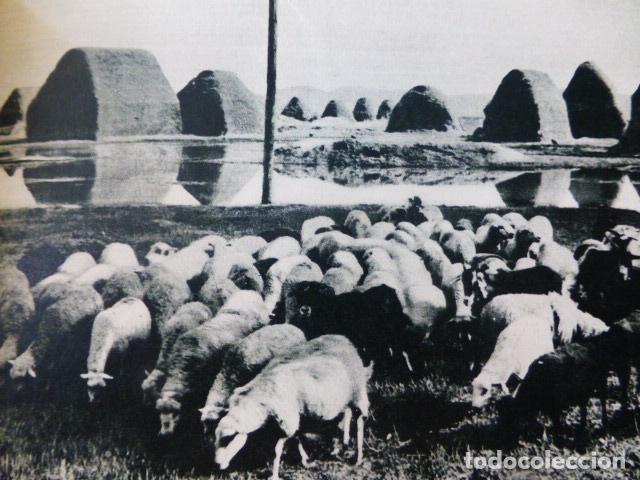 Coleccionismo: TUDELA NAVARRA ESCENA EN LA RIBERA ANTIGUA LAMINA HUECOGRABADO