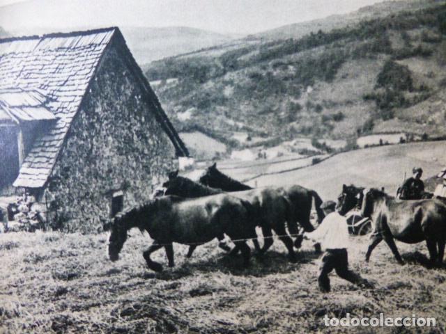 Coleccionismo: AEZCOA NAVARRA LA TRILLA ANTIGUA LAMINA HUECOGRABADO