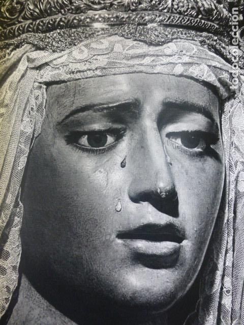 Coleccionismo: SEVILLA SEMANA SANTA NUESTRA SE&Ntilde;ORA DE LA AMARGURA ANTIGUA LAMINA HUECOGRABADO 26 X 31 CMTS