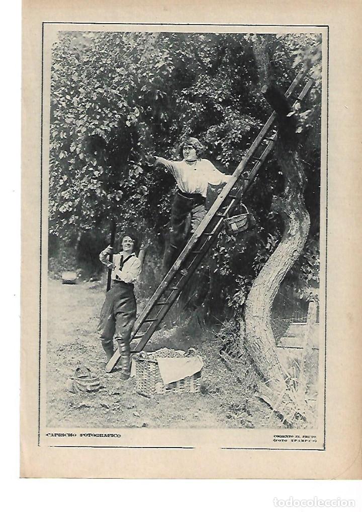 Collezionismo: A&Ntilde;O 1915 RECORTE PRENSA FOTOGRAFIA COGIENDO EL FRUTO FOTO TPAMPUS