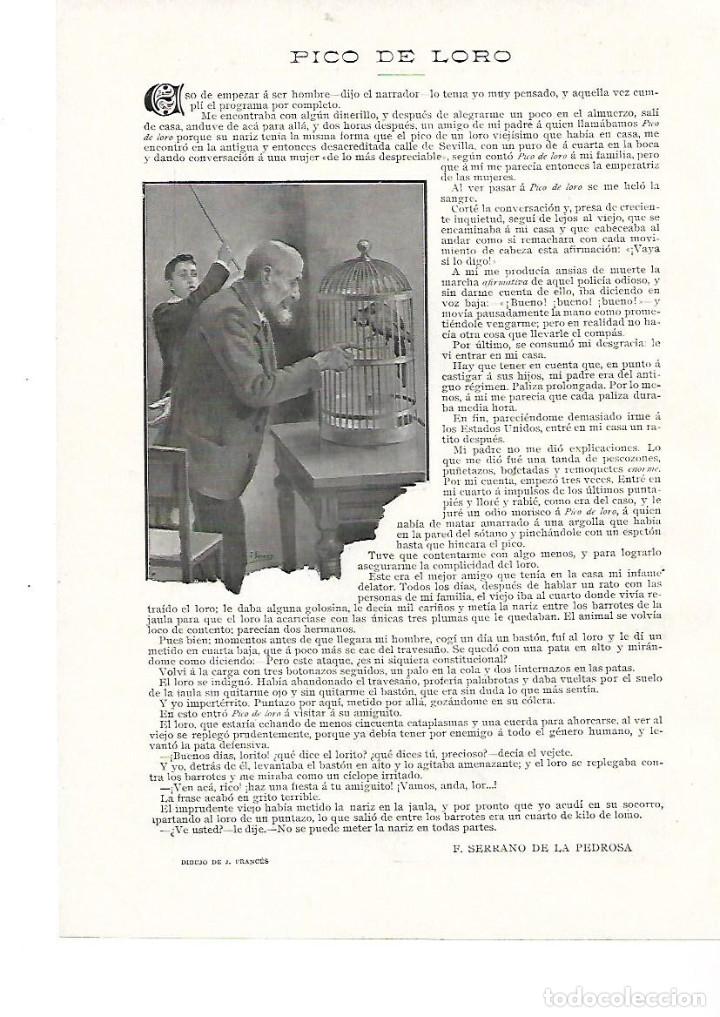 Collezionismo: A&Ntilde;O 1905 RECORTE PRENSA RELATO CORTO PICO DE LORO POR SERRANO DE LA PEDROSA DIBUJO J FRANCES