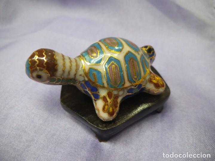 Coleccionismo: TORTUGA -ESMALTADA- MINI - Foto 1