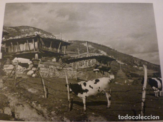Collectionnisme: OVIEDO ASTURIAS HORREOS ANTIGUO HUECOGRABADO