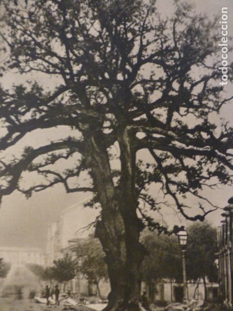Collectionnisme: OVIEDO ASTURIAS EL CARBAYON ANTIGUO HUECOGRABADO