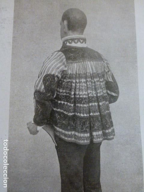 Collezionismo: LEON TIPO LEONES ANTIGUA LAMINA A&Ntilde;OS 20