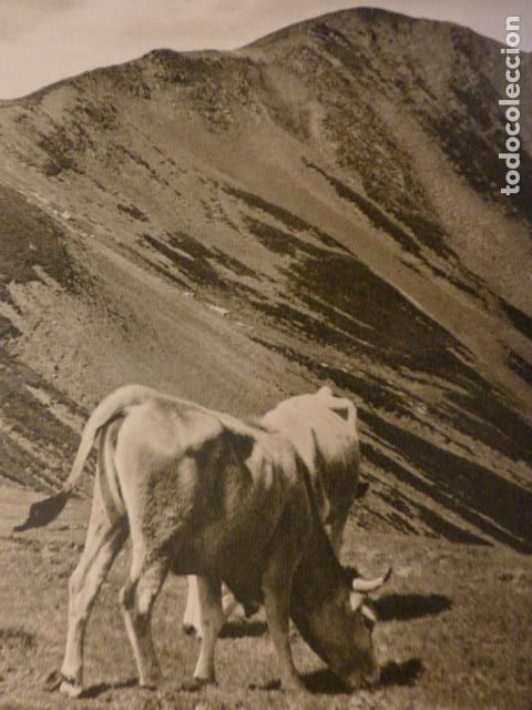 Sammelleidenschaft Papier: PUERTO DE PIEDRAFITA ASTURIAS VISTA ANTIGUO HUECOGRABADO