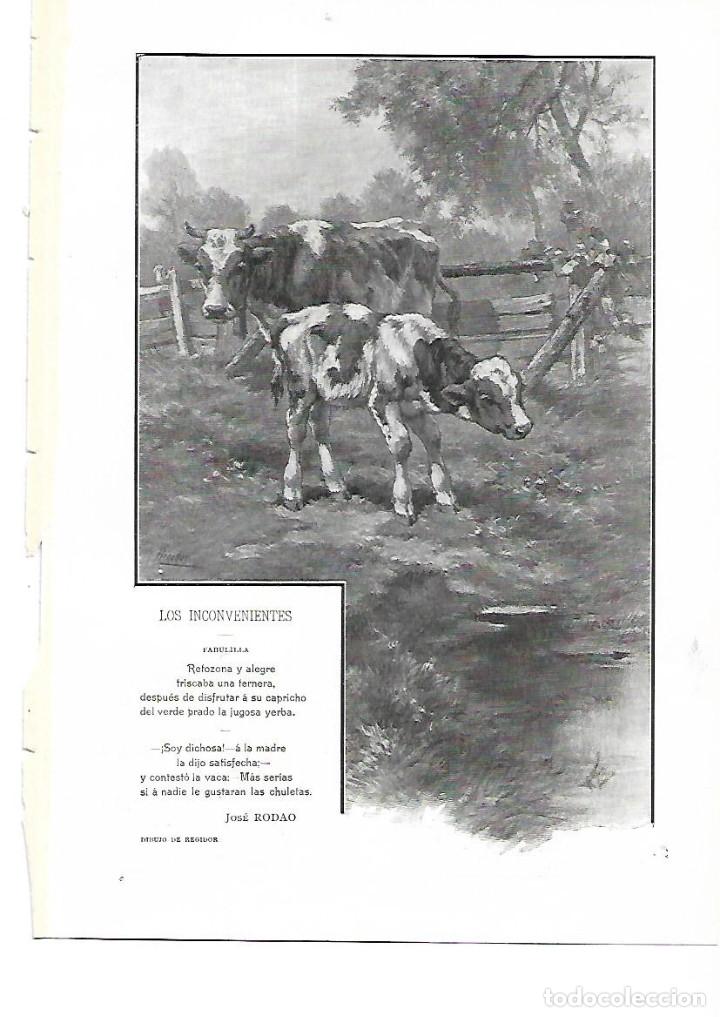 Sammelleidenschaft Papier: A&Ntilde;O 1905 RECORTE PRENSA POESIA LOS INCONVENIENTES POR JOSE RODAO DIBUJO REGIDOR ILUSTRACION VACAS