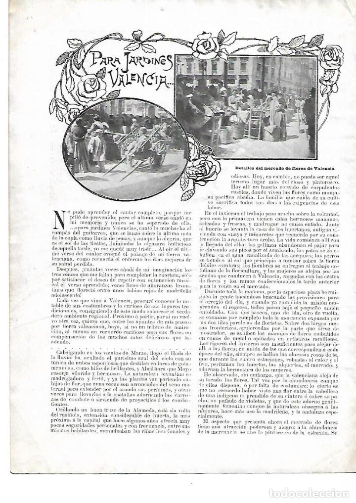 Collectionnisme: A&Ntilde;O 1904 CULTIVO DE FLORES PARA LOS JARDINES DE VALENCIA MERCADO FLORES HUERTO VOLTA DEL RUSI&Ntilde;OL