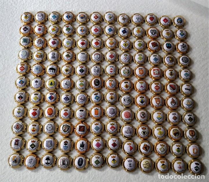 Coleccionismo: Chapas de cava - Foto 1