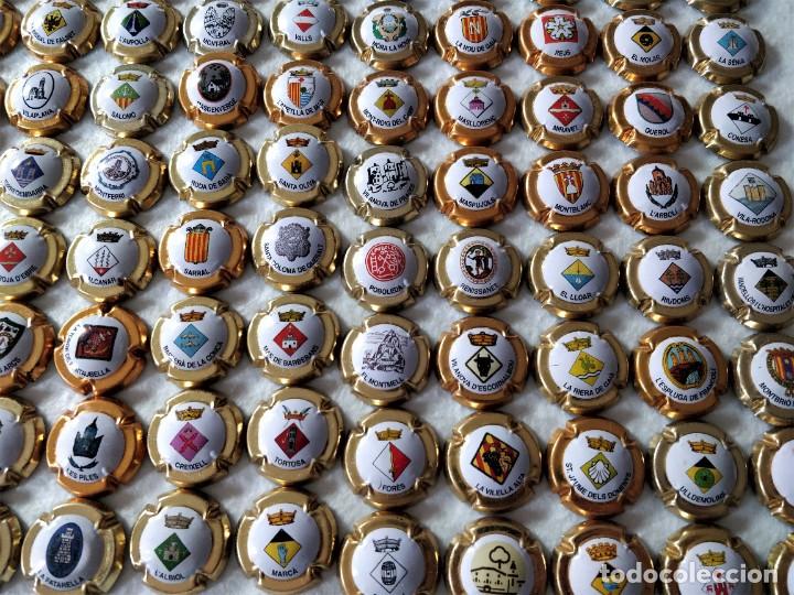 Coleccionismo: Chapas de cava - Foto 2