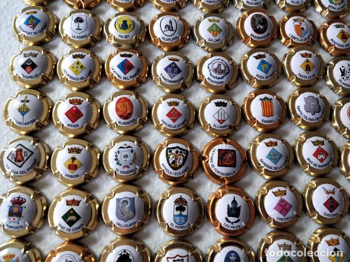 Coleccionismo: Chapas de cava - Foto 3