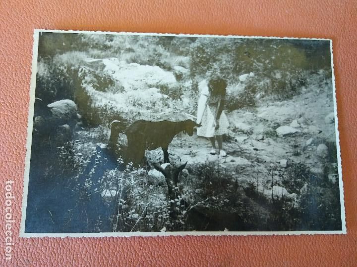 Collezionismo: NI&Ntilde;A CON ANIMALES.