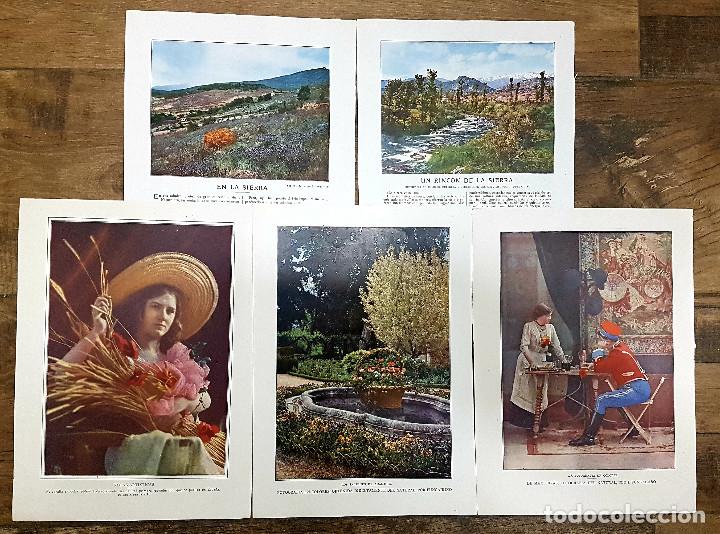 Coleccionismo: 1912 1913 LOTE 5 LAMINAS JOAQUIN FUNGAIRI&Ntilde;O PRIMERA reproduccion fotograf&iacute;a color EN ESPA&Ntilde;A. 20x28.