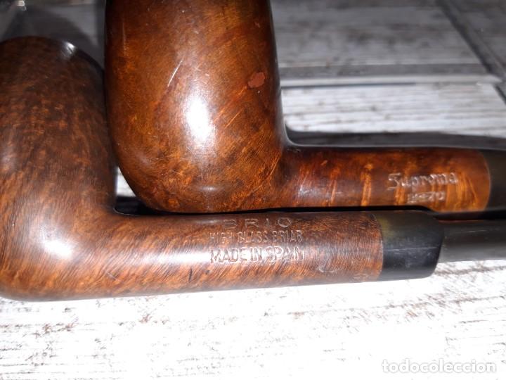 Coleccionismo: Pipas de fumar de brezo - Foto 4