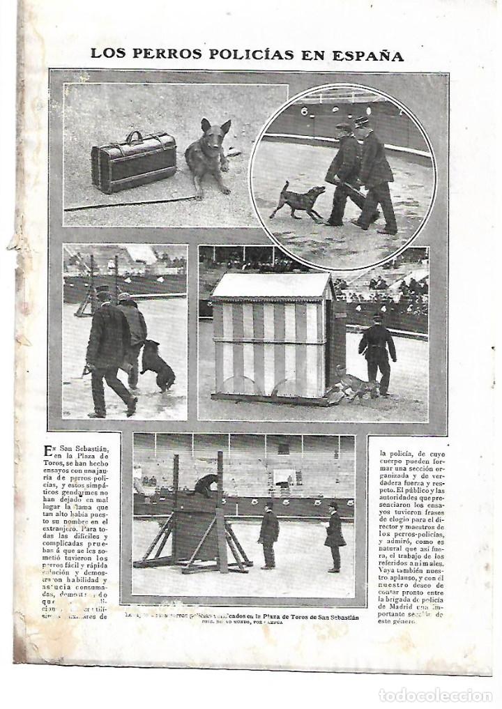 Collecting paper: A&Ntilde;O 1910 RECORTE PRENSA LOS PERROS POLICIA EN ESPA&Ntilde;A