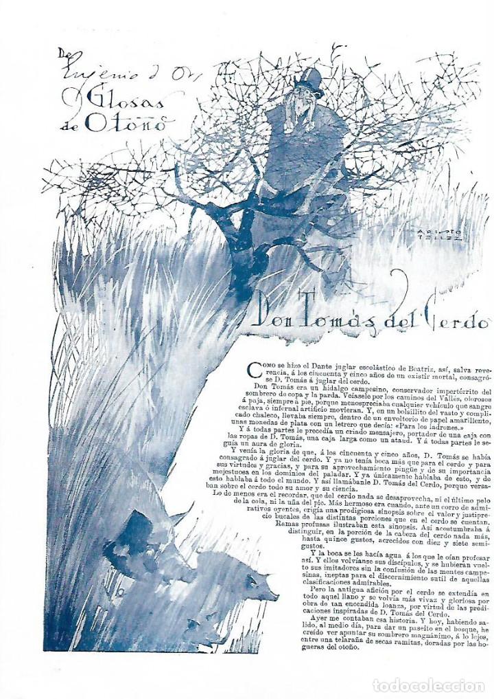Colecionismo: A&Ntilde;O 1922 RECORTE PRENSA EUGENIO D'ORS GLOSAS DE OTO&Ntilde;O DON TOMAS DEL CERDO DIBUJO ARISTO TELLEZ