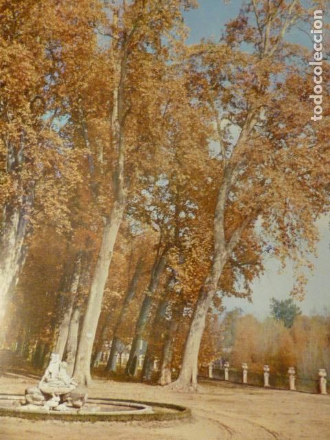 Collectionnisme: ARANJUEZ MADRID JARDINES DE ISLA ANTIGUA LAMINA HUECOGRABADO