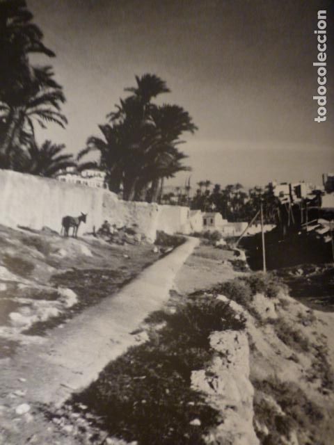 Coleccionismo: ELCHE ALICANTE ANTIGUA LAMINA HUECOGRABADO A&Ntilde;OS 50