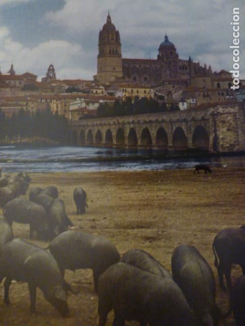 Colecionismo: SALAMANCA VISTA ANTIGUA LAMINA HUECOGRABADO A&Ntilde;OS 50