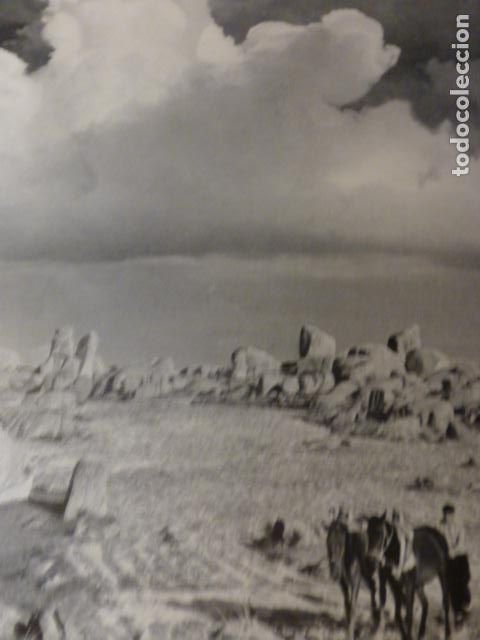 Collecting paper: AVILA LABRADOR ANTIGUA LAMINA HUECOGRABADO A&Ntilde;OS 50