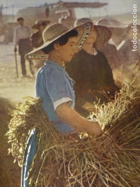 Colecionismo: AVILA LABRADORAS ANTIGUA LAMINA HUECOGRABADO A&Ntilde;OS 50