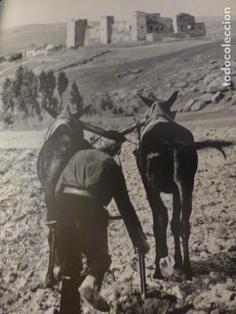 Collecting paper: SIG&Uuml;ENZA GUADALAJARA LABRADOR ANTIGUA LAMINA HUECOGRABADO A&Ntilde;OS 50
