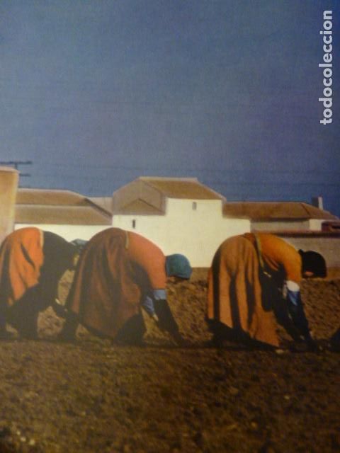 Colecionismo: CASTILLA LA VIEJA LABRADORAS ANTIGUA LAMINA HUECOGRABADO A&Ntilde;OS 50