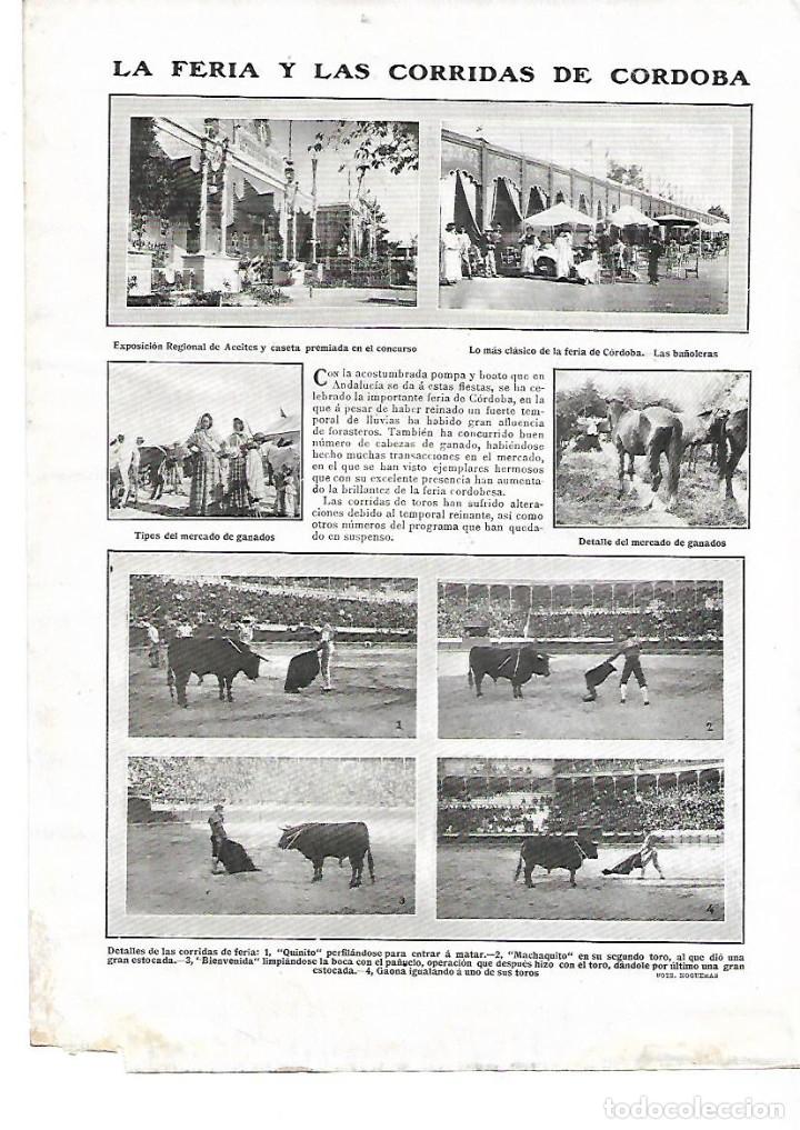 Colecionismo: A&Ntilde;O 1910 RECORTE PRENSA CORDOBA FERIA Y CORRIDAS DE TOROS EXPOSICION DE ACEITES MERCADO GANADO