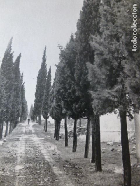 Colecionismo: SANTA CRUZ DE MUDELA CIUDAD REAL CAMINO DEL CEMENTERIO ANTIGUA LAMINA HUECOGRABADO