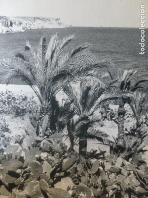Collezionismo: ALMERIA EL PALMER ANTIGUA LAMINA HUECOGRABADO