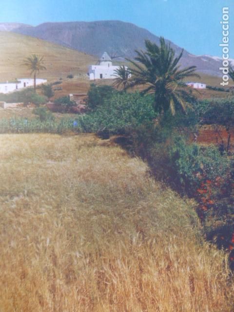 Collezionismo: NIJAR ALMERIA CAMPOS ANTIGUA LAMINA HUECOGRABADO