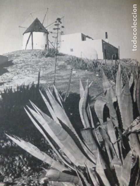 Sammelleidenschaft Papier: LOS ESCULLOS ALMERIA MOLINOS ANTIGUA LAMINA HUECOGRABADO