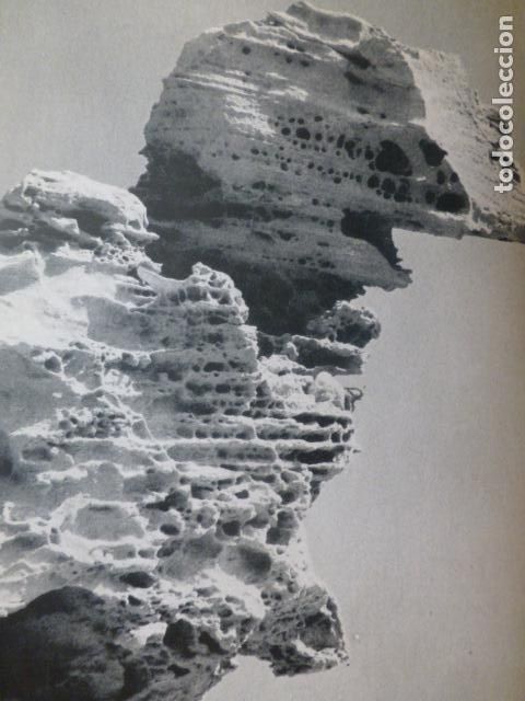 Colecionismo: LOS ESCULLOS ALMERIA ANTIGUA LAMINA HUECOGRABADO