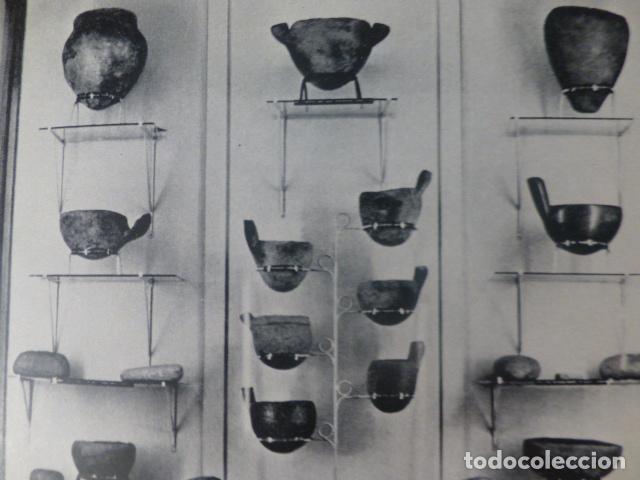 Coleccionismo: SANTA CRUZ DE TENERIFE MUSEO ARQUEOLOGICO ANTIGUA LAMINA HUECOGRABADO