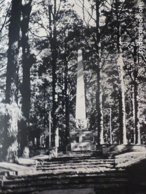 Sammelleidenschaft Papier: LAS RAICES TENERIFE MONOLITO ANTIGUA LAMINA HUECOGRABADO