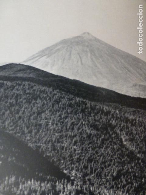 Coleccionismo: TENERIFE EL TEIDE ANTIGUA LAMINA HUECOGRABADO