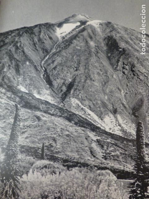 Colecionismo: TENERIFE EL TEIDE ANTIGUA LAMINA HUECOGRABADO