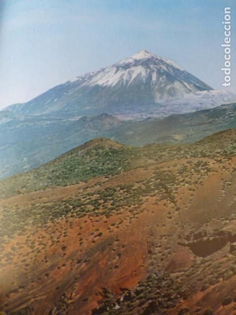 Sammelleidenschaft Papier: TENERIFE EL TEIDE ANTIGUA LAMINA HUECOGRABADO