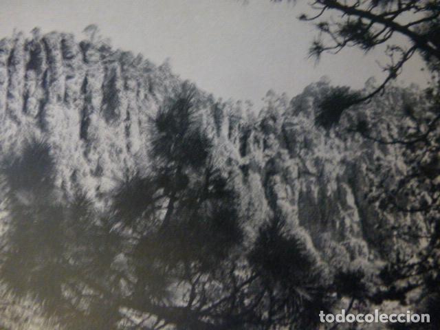 Sammelleidenschaft Papier: VILLAFLOR TENERIFE LOS ORGANOS ANTIGUA LAMINA HUECOGRABADO