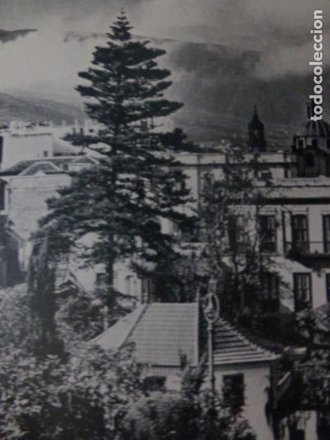Sammelleidenschaft Papier: LA OROTAVA TENERIFE VISTA ANTIGUA LAMINA HUECOGRABADO