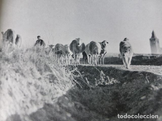 Colecionismo: TORRE DE EL BONILLO ALBACETE VISTA ANTIGUA LAMINA HUECOGRABADO