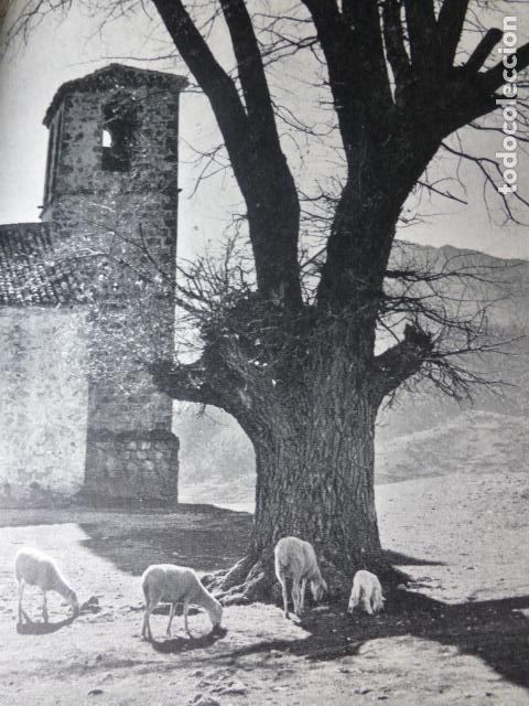Collezionismo: RIOPAR ALBACETE VISTA ANTIGUA LAMINA HUECOGRABADO