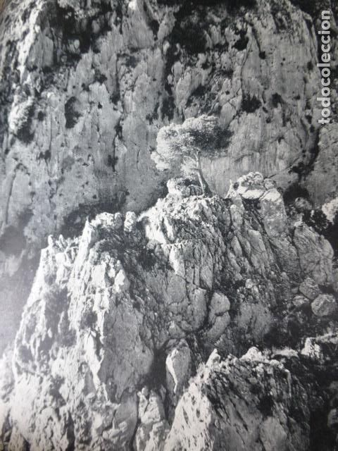 Collezionismo: SIERRA TAIBILLA ALBACETE LAMINA HUECOGRABADO