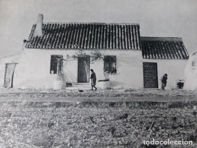 Collezionismo: PE&Ntilde;AS DE SAN PEDRO ALBACETE CASAS ANTIGUA LAMINA HUECOGRABADO