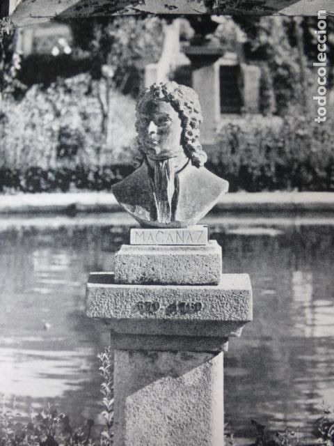 Collectionnisme: HELLIN ALBACETE MACANAZ ANTIGUA LAMINA HUECOGRABADO