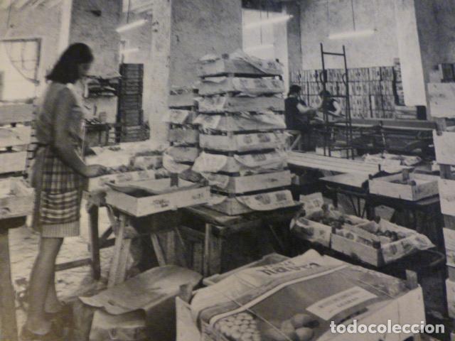 Sammelleidenschaft Papier: ABARAN MURCIA FABRICA ANTIGUA LAMINA HUECOGRABADO