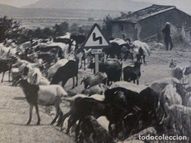 Coleccionismo: CAMPO DE CARTAGENA MURCIA VISTA ANTIGUA LAMINA HUECOGRABADO