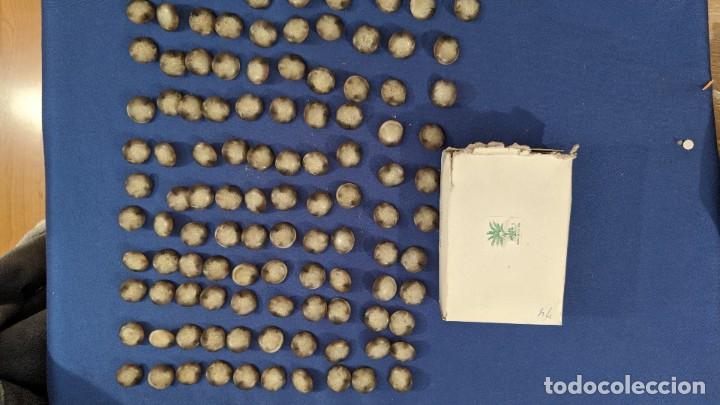 Collecting: LOTE 110 BOTONES