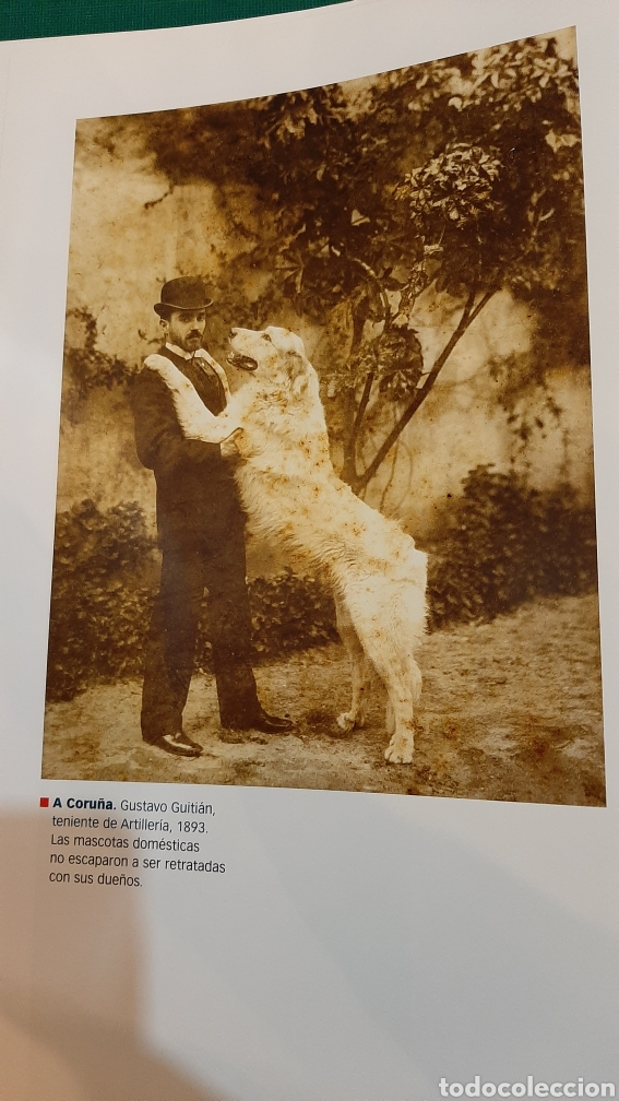 Collezionismo: LAMINA DE LIBRO MODERNO LA CORU&Ntilde;A GUSTAVO GUITIAN 1893 MASCOTA PERRO
